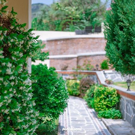 PalaiónTsiflíkion Helianthos Villa - Apartment No4 מראה חיצוני תמונה