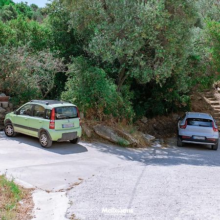 PalaiónTsiflíkion Helianthos Villa - Apartment No4 מראה חיצוני תמונה