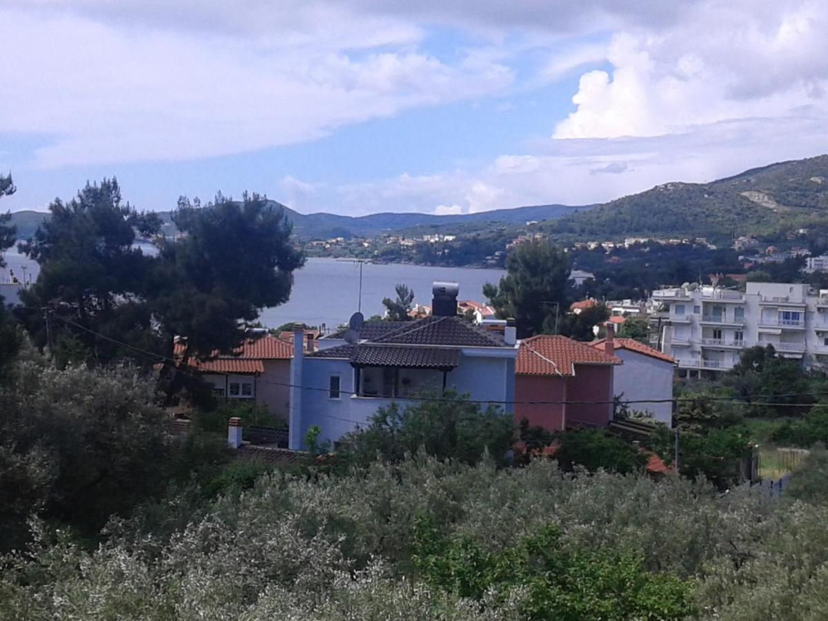 PalaiónTsiflíkion Helianthos Villa - Apartment No4 מראה חיצוני תמונה