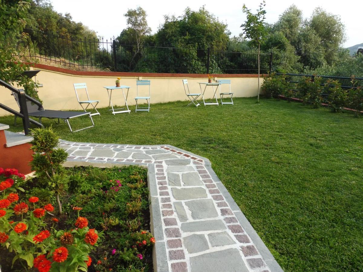 PalaiónTsiflíkion Helianthos Villa - Apartment No4 מראה חיצוני תמונה