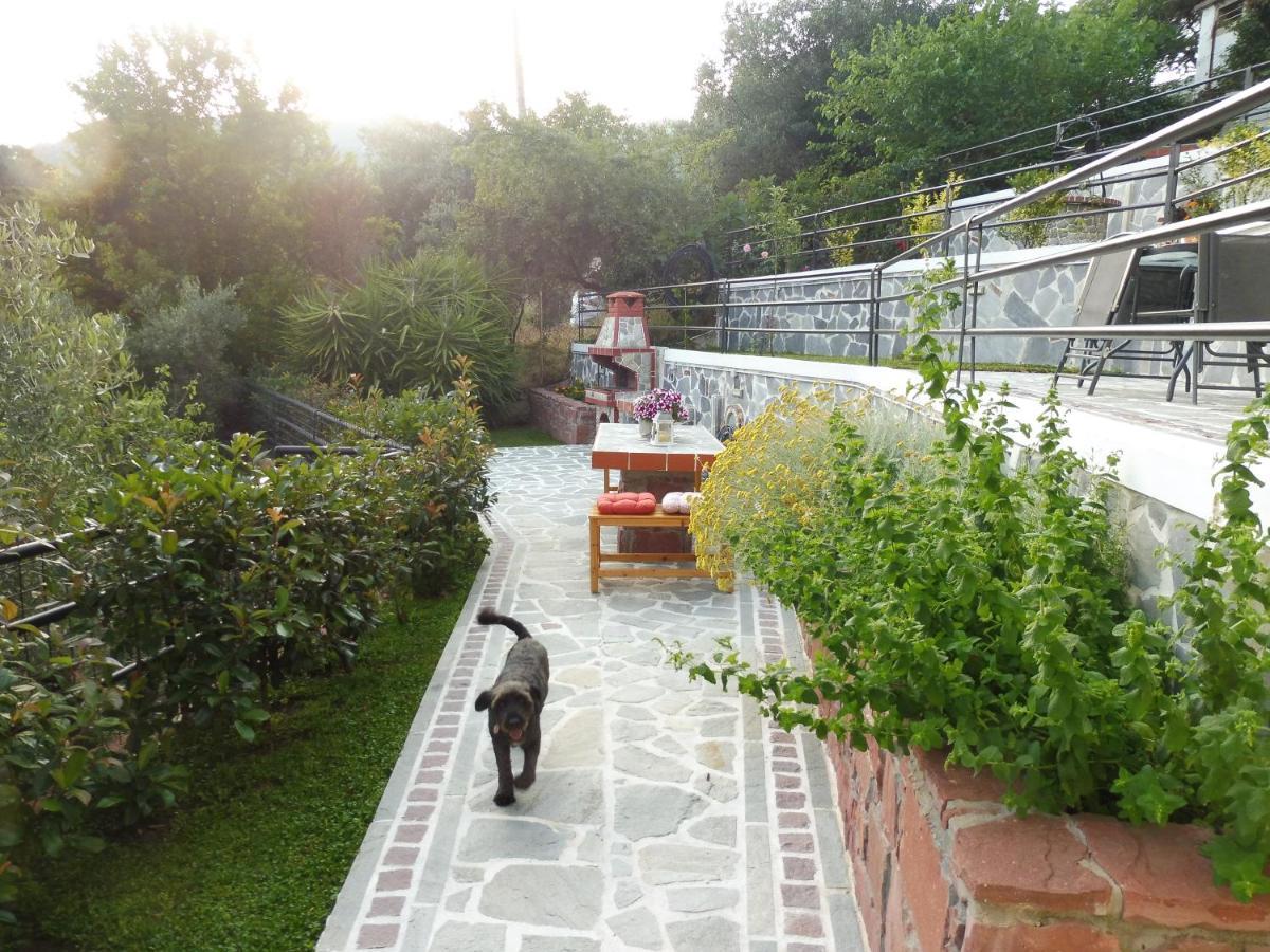 PalaiónTsiflíkion Helianthos Villa - Apartment No4 מראה חיצוני תמונה