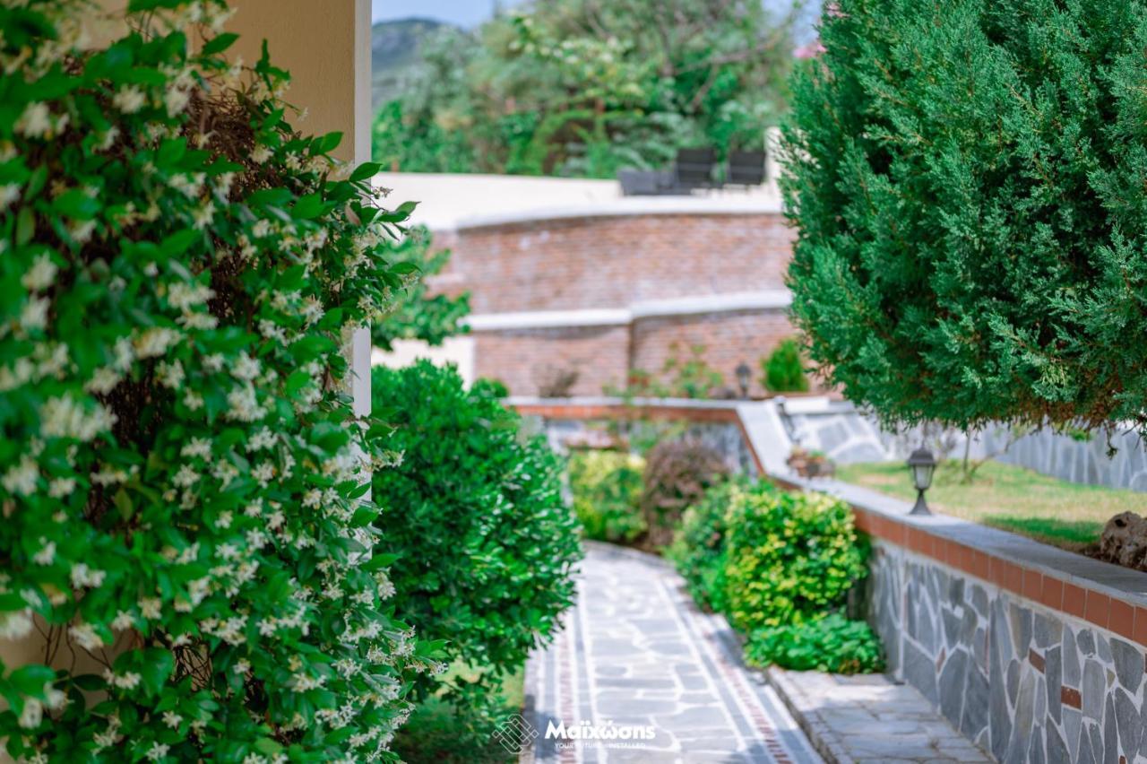 PalaiónTsiflíkion Helianthos Villa - Apartment No4 מראה חיצוני תמונה