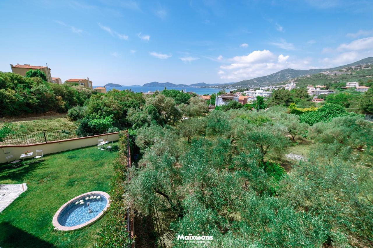 PalaiónTsiflíkion Helianthos Villa - Apartment No4 מראה חיצוני תמונה