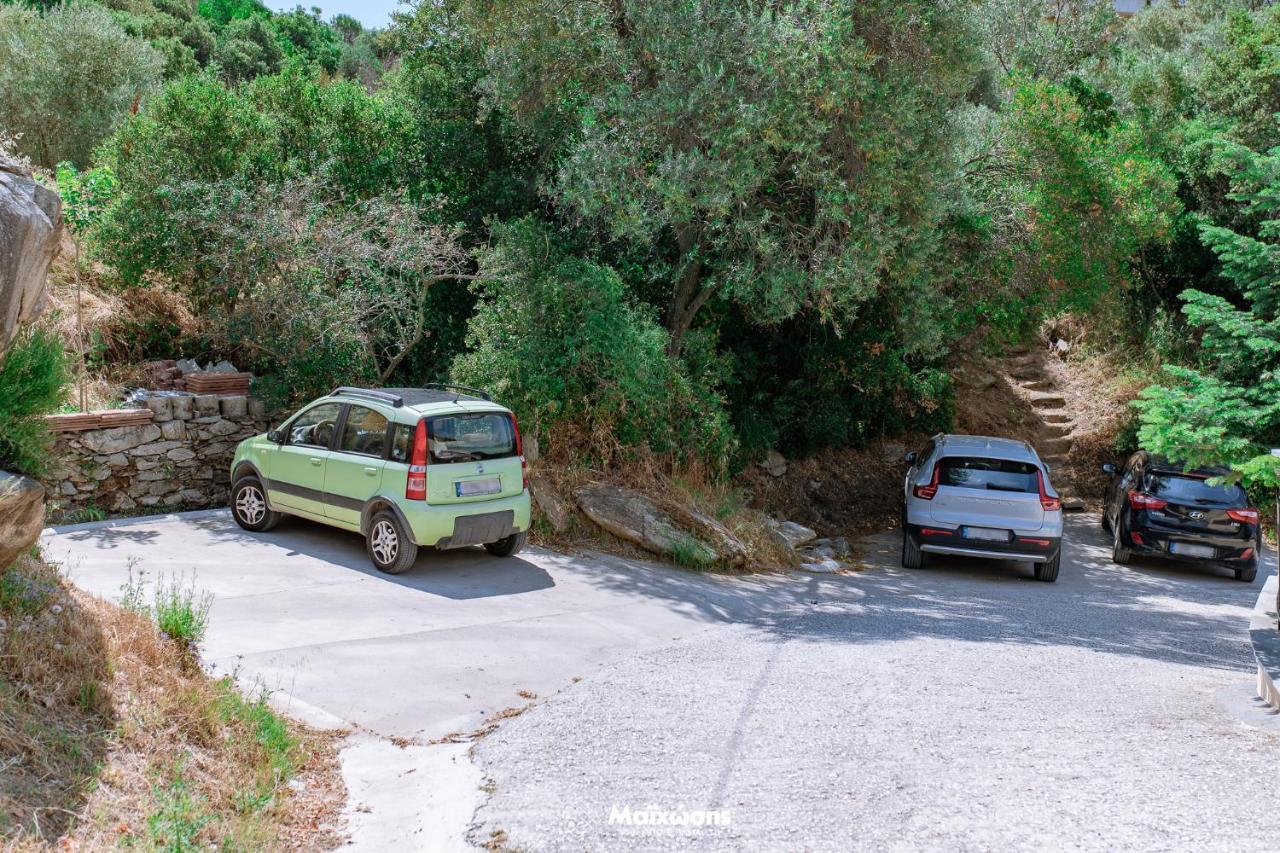 PalaiónTsiflíkion Helianthos Villa - Apartment No4 מראה חיצוני תמונה